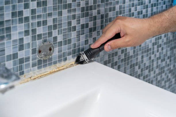Best Home Mold Removal  in Morongo Valley, CA