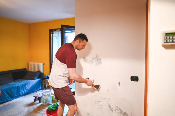 Best Emergency Mold Removal  in Morongo Valley, CA